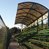 Techo para Graderías Estadio Paul Harris