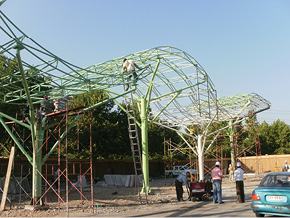 punto_verde1